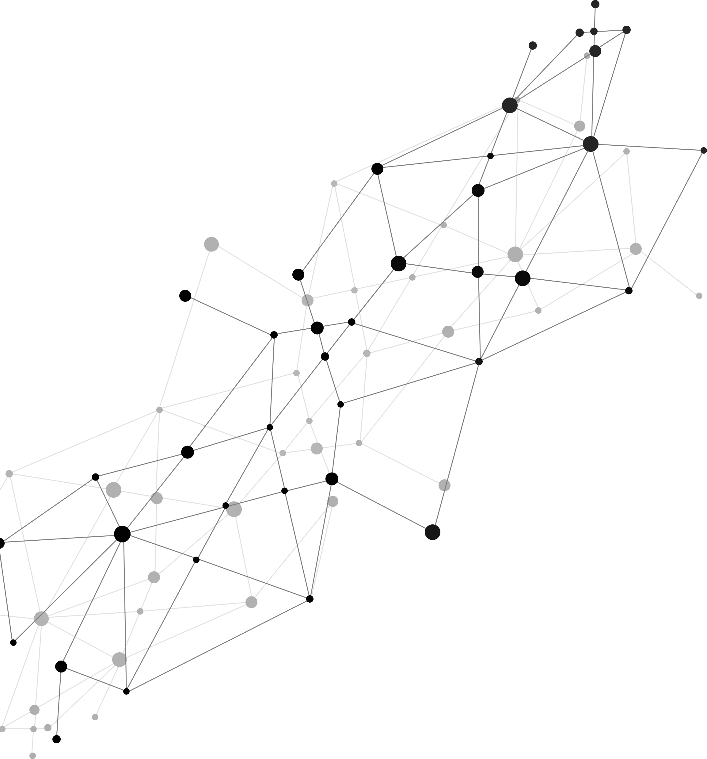 network particelle